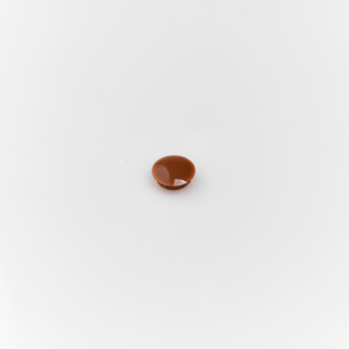 Cover plug Golden oak