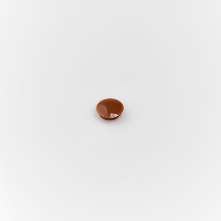 Cover plug Golden oak